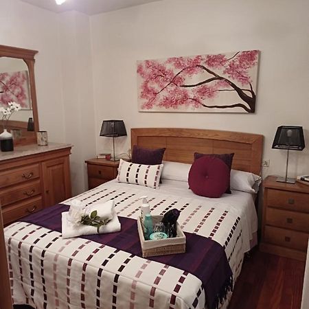Apartamento Penedo, Camino Portugus-Con Plaza De Garaje Gratis Santiago de Compostela Bagian luar foto