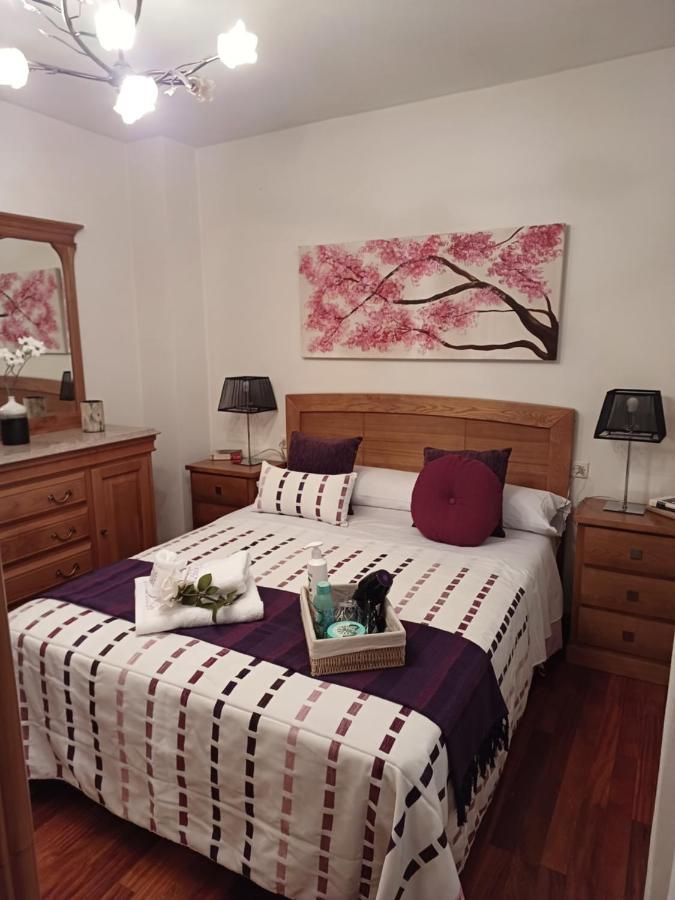 Apartamento Penedo, Camino Portugus-Con Plaza De Garaje Gratis Santiago de Compostela Bagian luar foto